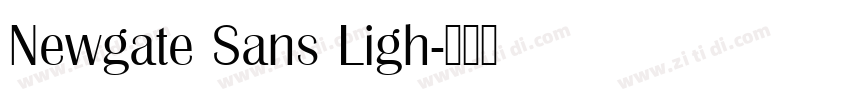 Newgate Sans Ligh字体转换